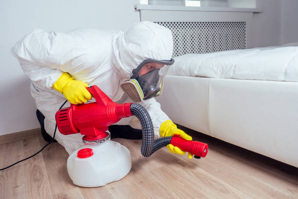 Best Local Pest Control Services  in Powder Springs, GA