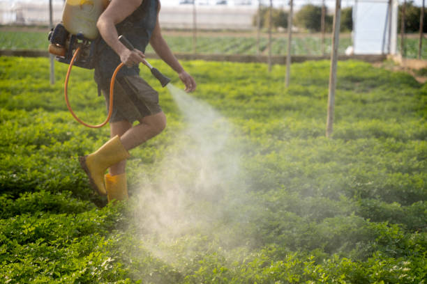 Pest Control for Restaurants in Powder Springs, GA