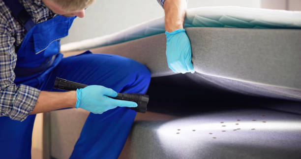 Best Affordable Pest Control Services  in Powder Springs, GA
